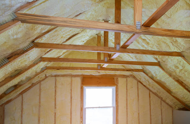 Best Insulation Repair Services  in Washington, NC