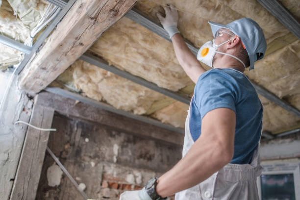 Best Insulation Contractors for Homes  in Washington, NC