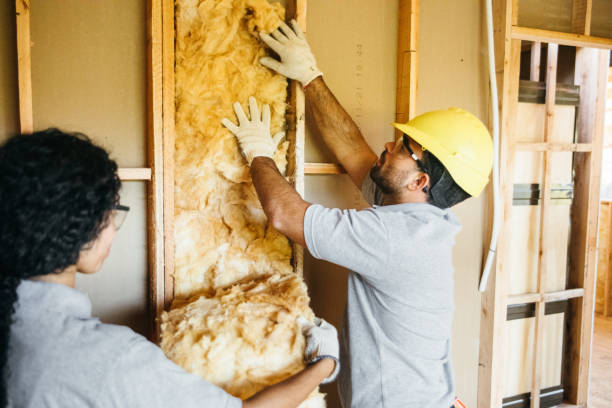 Best Energy-efficient Insulation  in Washington, NC