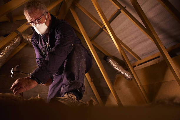 Best Soundproof Insulation Installation  in Washington, NC